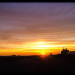 Meet your Posher, Dylan